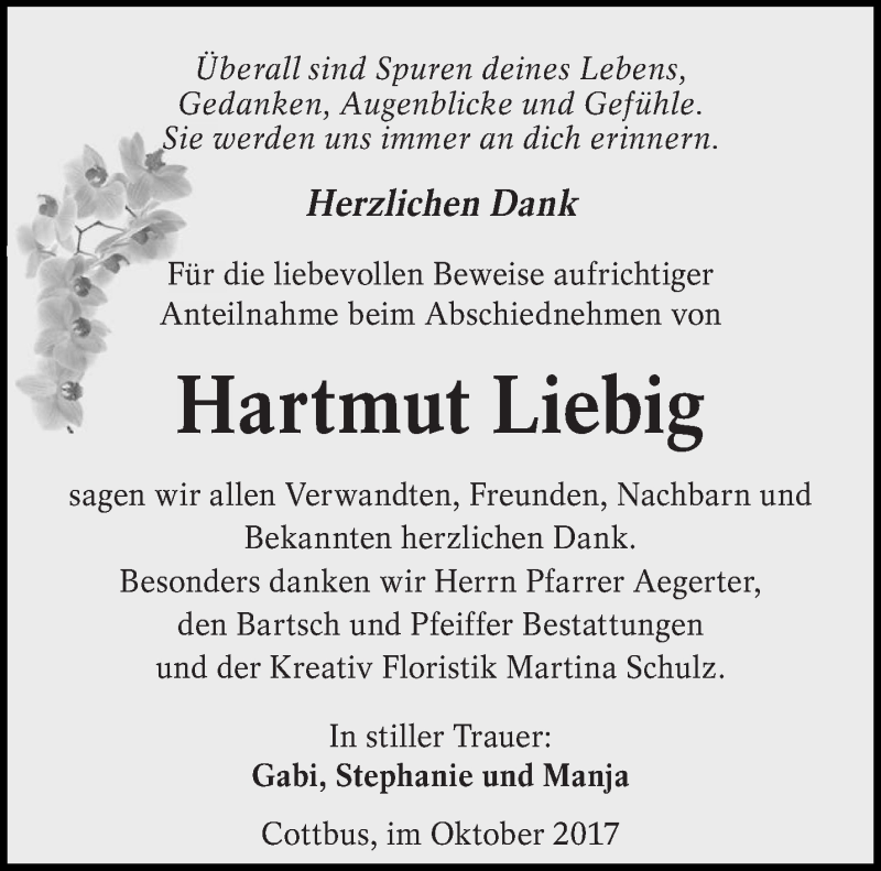 Traueranzeige für Hartmut Liebig vom 28.10.2017 aus lausitzer_rundschau