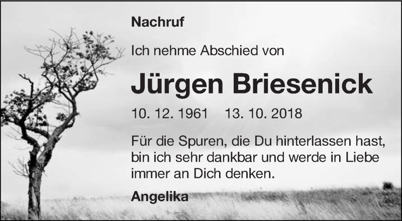  Traueranzeige für Jürgen Briesenick vom 27.10.2018 aus lausitzer_rundschau