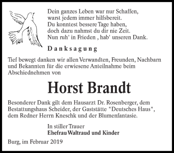Traueranzeige von Horst Brandt von lausitzer_rundschau