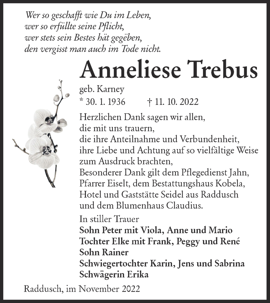  Traueranzeige für Anneliese Trebus vom 19.11.2022 aus lausitzer_rundschau