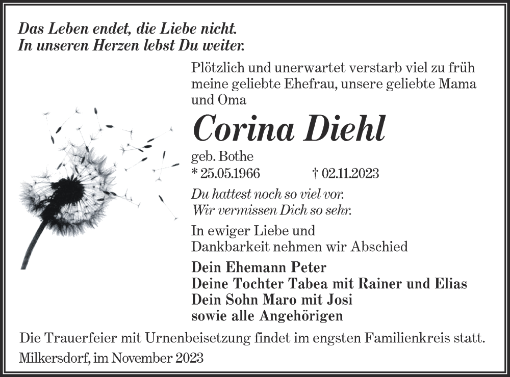  Traueranzeige für Corina Diehl vom 11.11.2023 aus Lausitzer Rundschau