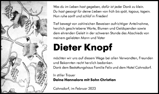 Traueranzeige von Dieter Knopf von Lausitzer Rundschau