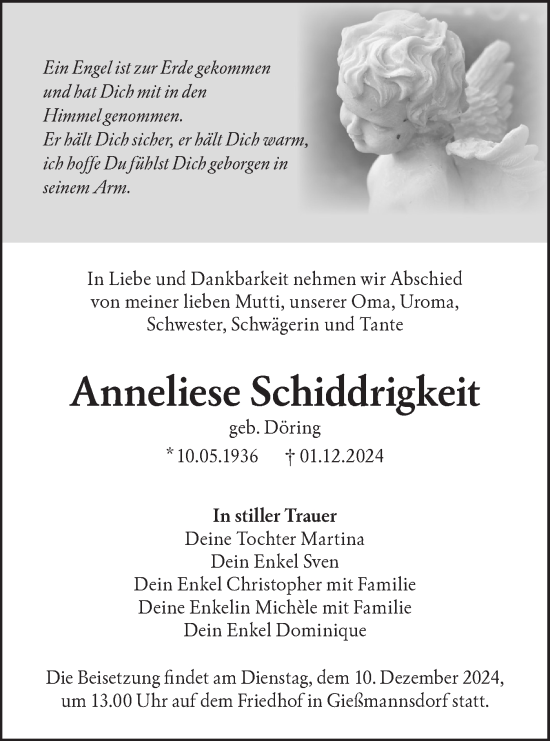 Traueranzeige von Anneliese Schiddrigkeit von Lausitzer Rundschau