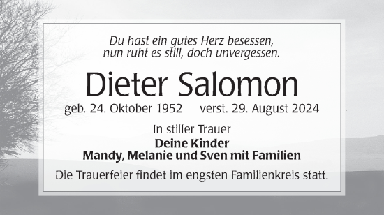 Traueranzeige von Dieter Salomon von Lausitzer Rundschau