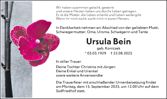 Traueranzeige von Ursula Bein von Lausitzer Rundschau